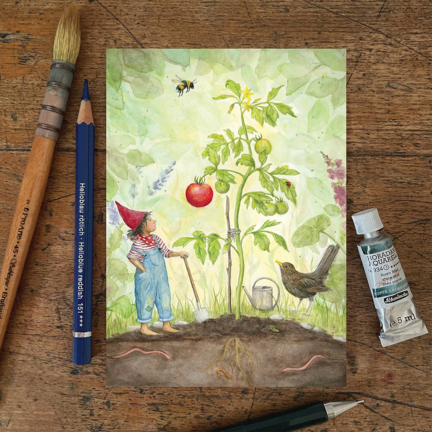 First Ripe Tomato (A6 postcard)